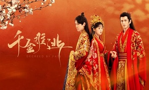 Decreed by Fate 14. Bölüm