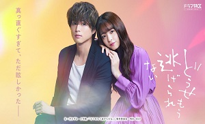 Douse Mou Nigerarenai 6. Bölüm