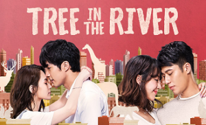 Tree in the River 20. Bölüm