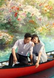 Back to the Origin 2025 Çin 13-17. Bölüm