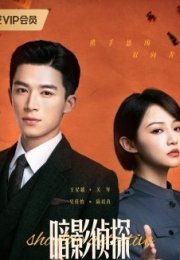 Shadow Detective 2025 Çin 11-15. Bölüm